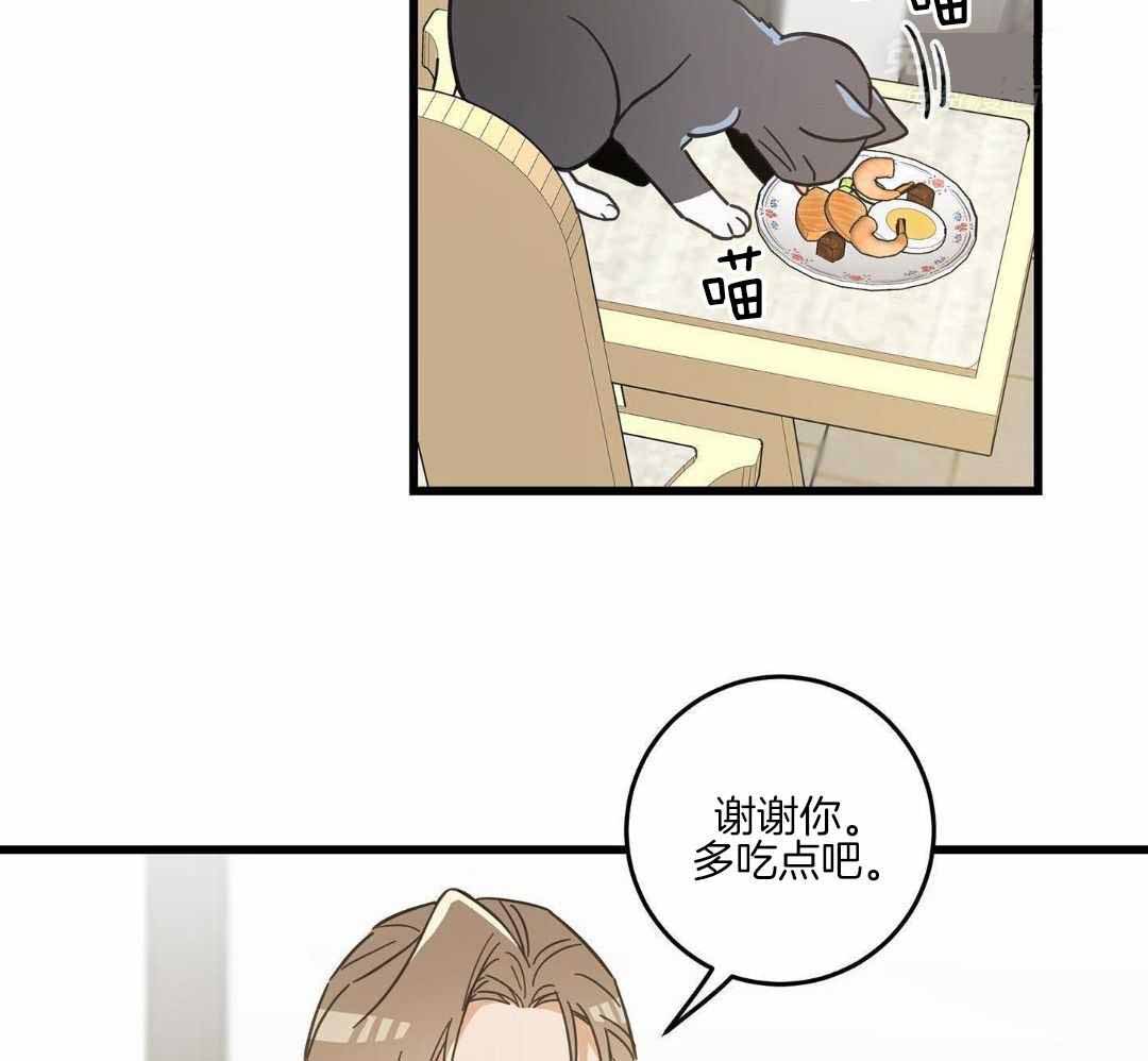 《我唯一的猫猫》漫画最新章节第47话免费下拉式在线观看章节第【19】张图片