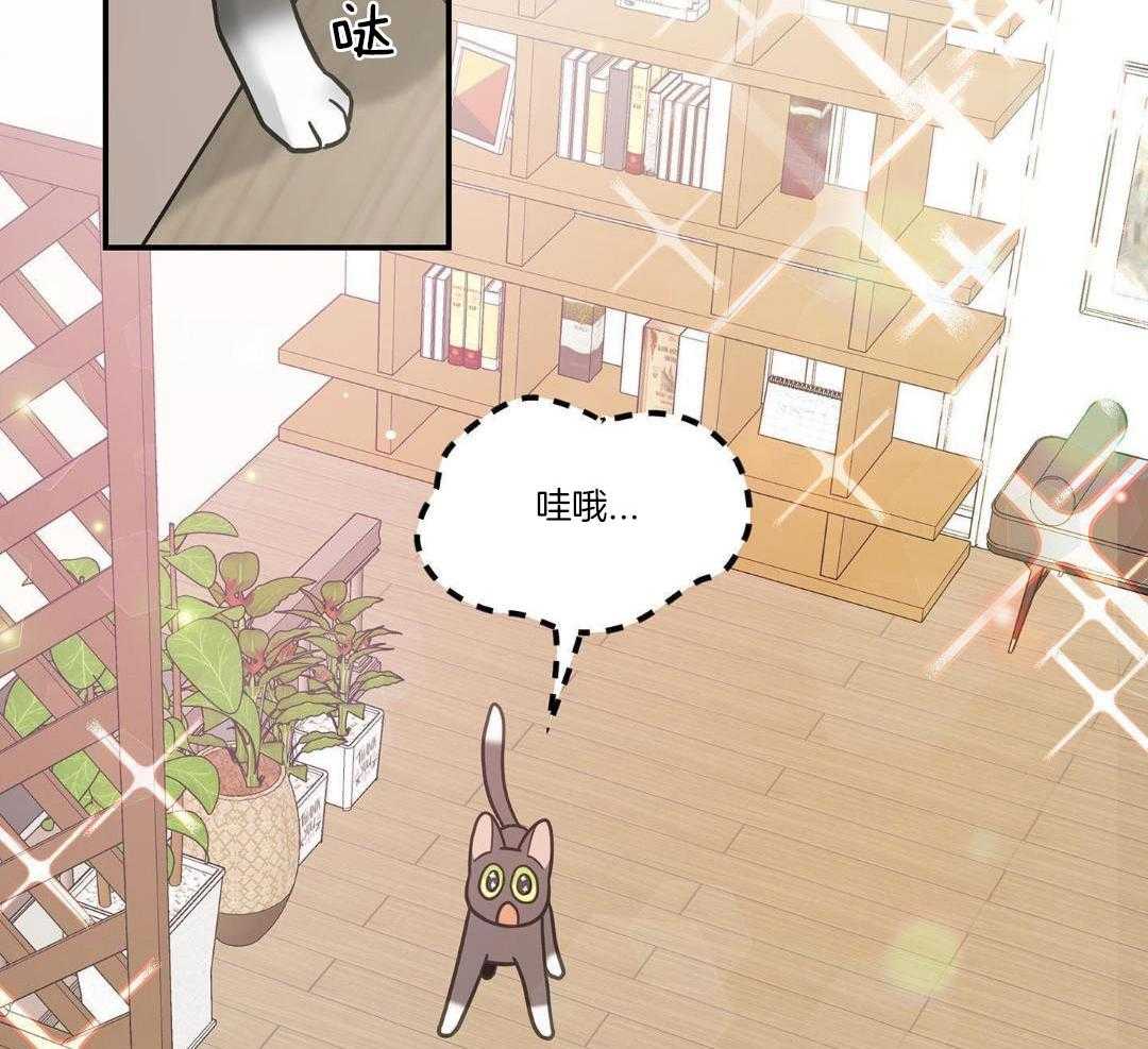 《我唯一的猫猫》漫画最新章节第47话免费下拉式在线观看章节第【42】张图片