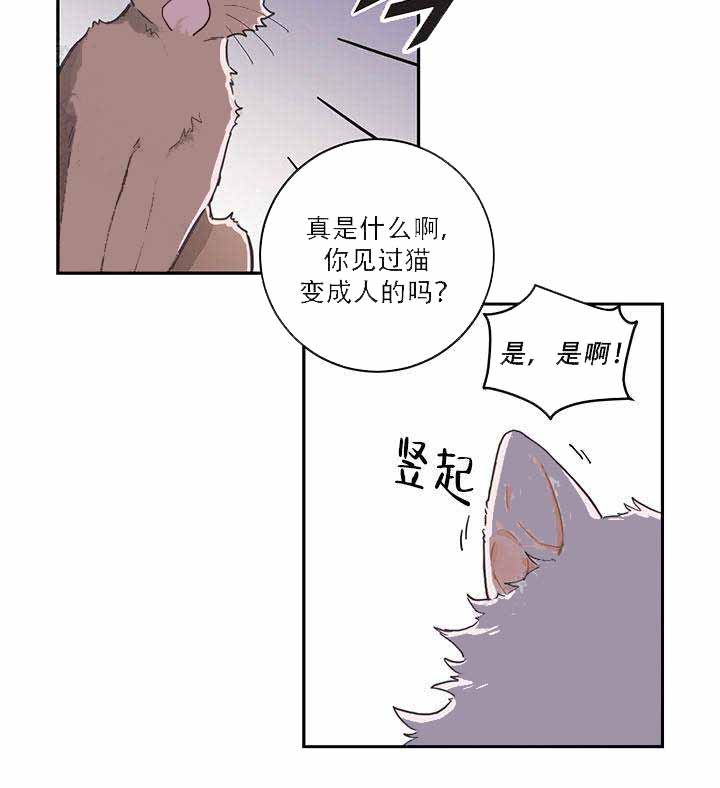 《我唯一的猫猫》漫画最新章节第1话免费下拉式在线观看章节第【3】张图片