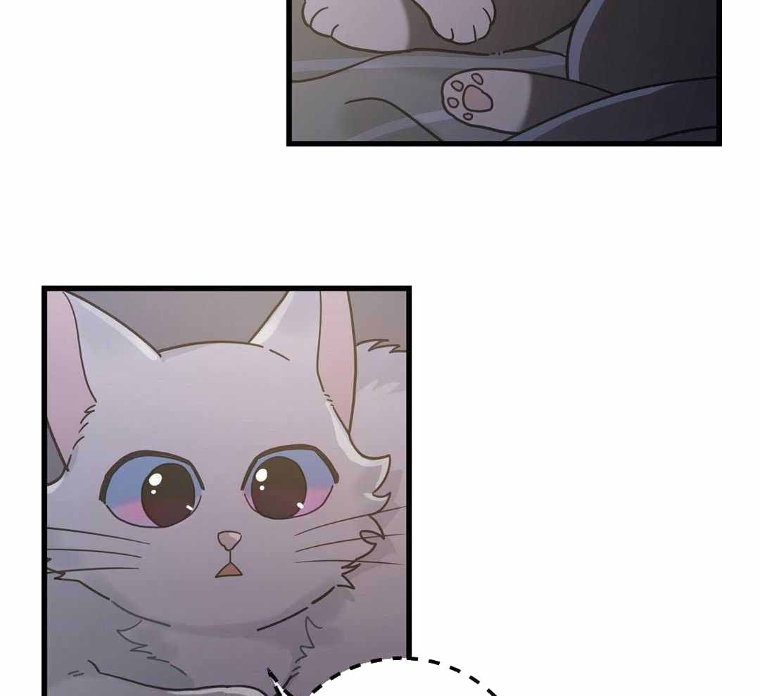 《我唯一的猫猫》漫画最新章节第42话免费下拉式在线观看章节第【12】张图片