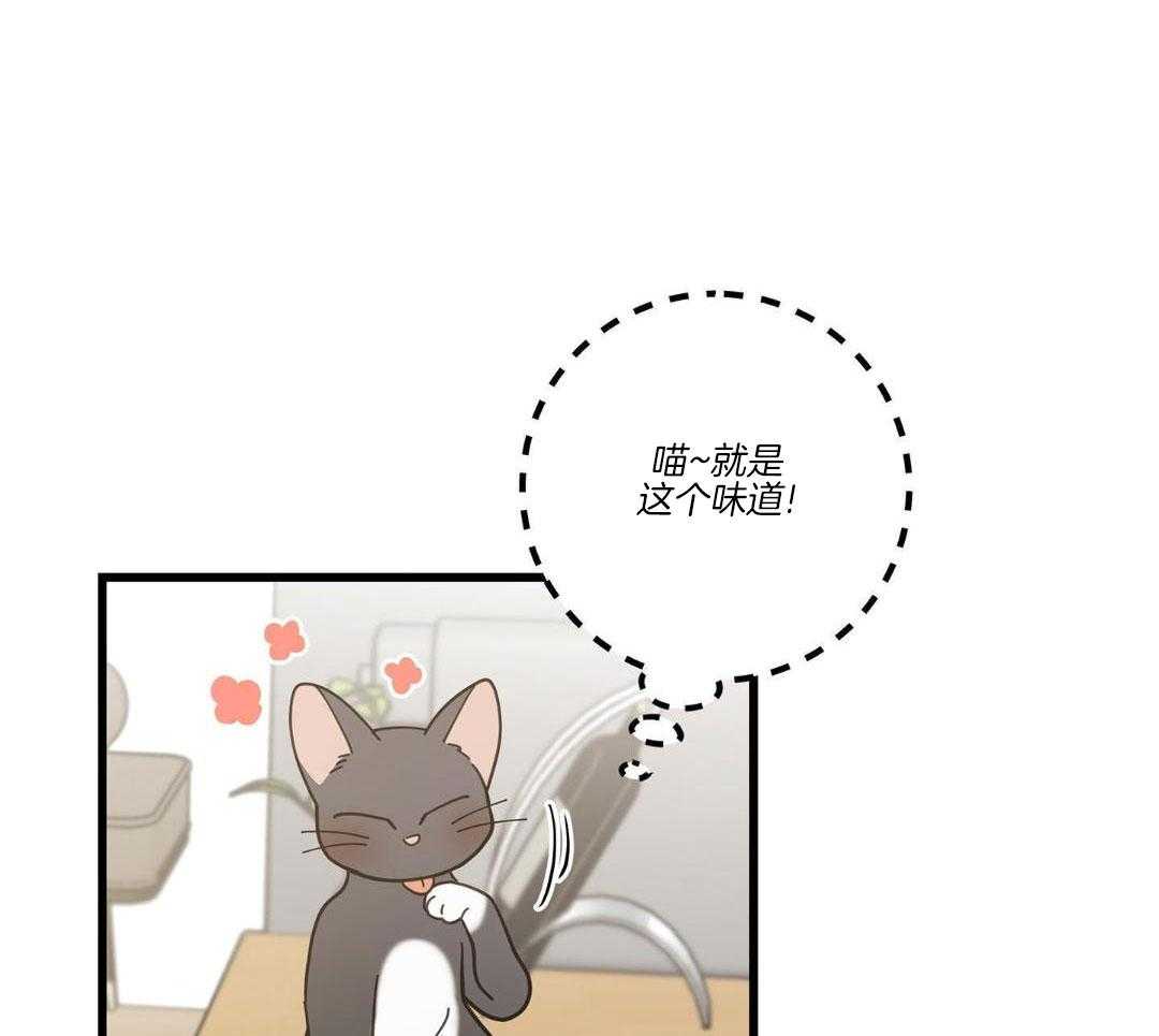 《我唯一的猫猫》漫画最新章节第58话免费下拉式在线观看章节第【21】张图片