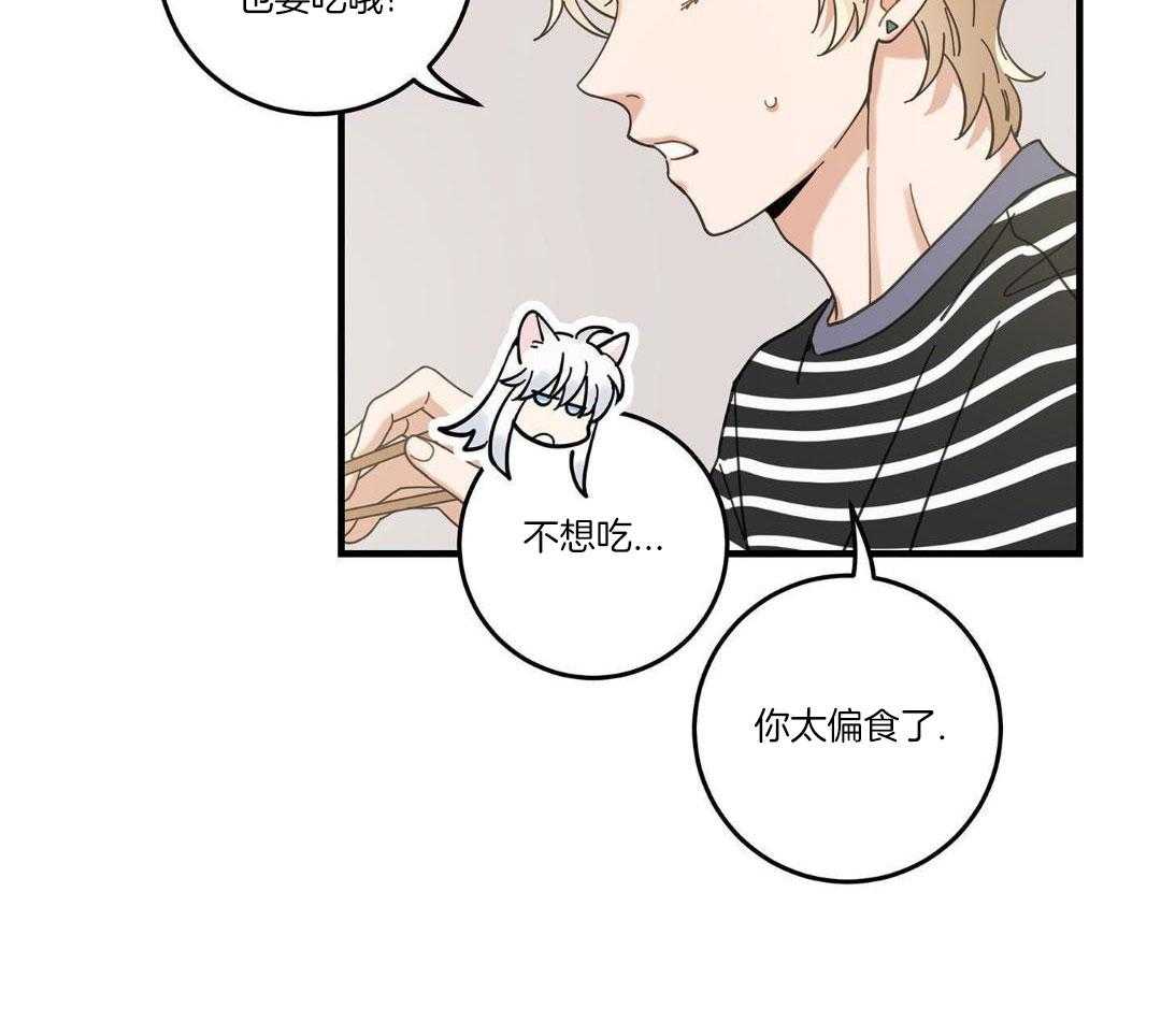 《我唯一的猫猫》漫画最新章节第56话免费下拉式在线观看章节第【26】张图片