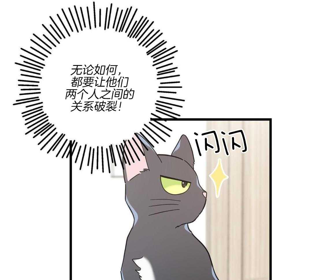 《我唯一的猫猫》漫画最新章节第44话免费下拉式在线观看章节第【8】张图片