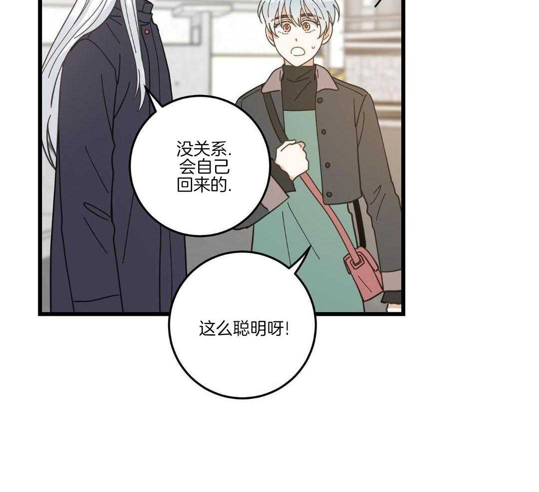 《我唯一的猫猫》漫画最新章节第57话免费下拉式在线观看章节第【42】张图片