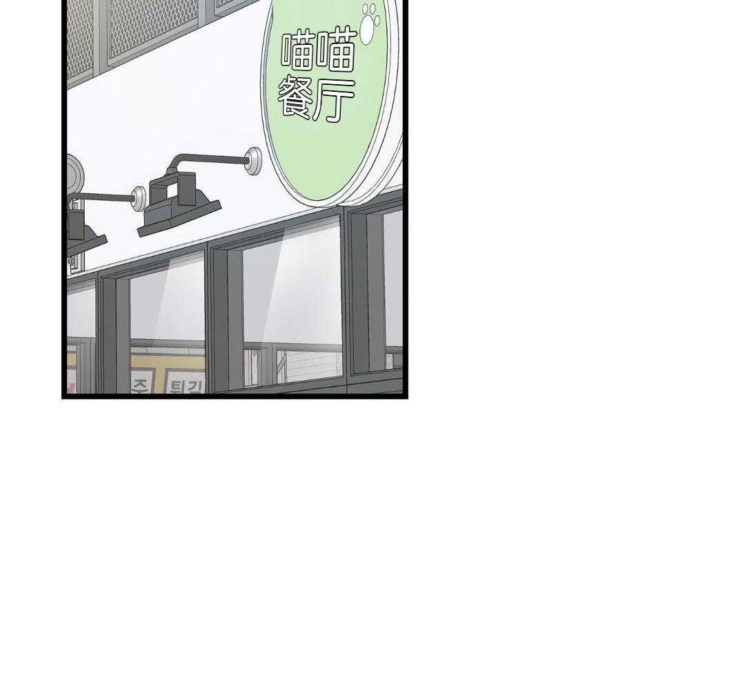 《我唯一的猫猫》漫画最新章节第58话免费下拉式在线观看章节第【3】张图片