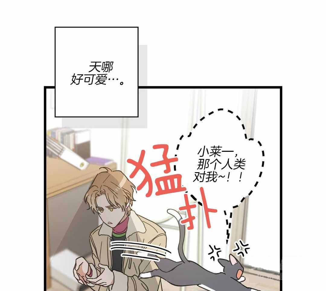 《我唯一的猫猫》漫画最新章节第45话免费下拉式在线观看章节第【16】张图片