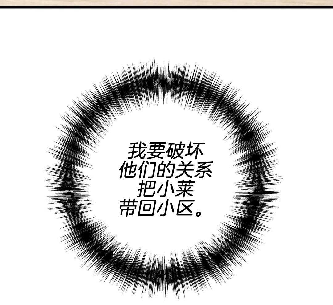 《我唯一的猫猫》漫画最新章节第43话免费下拉式在线观看章节第【16】张图片