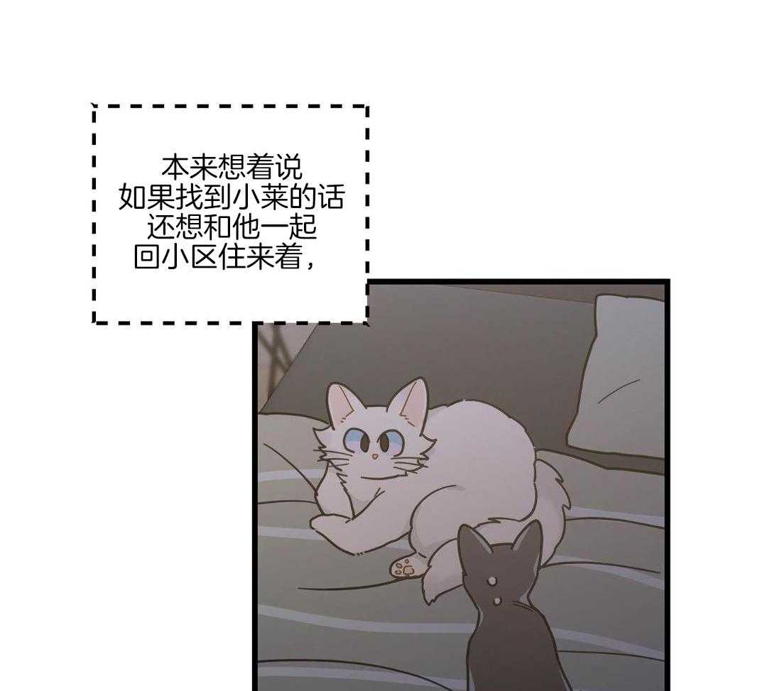 《我唯一的猫猫》漫画最新章节第42话免费下拉式在线观看章节第【21】张图片