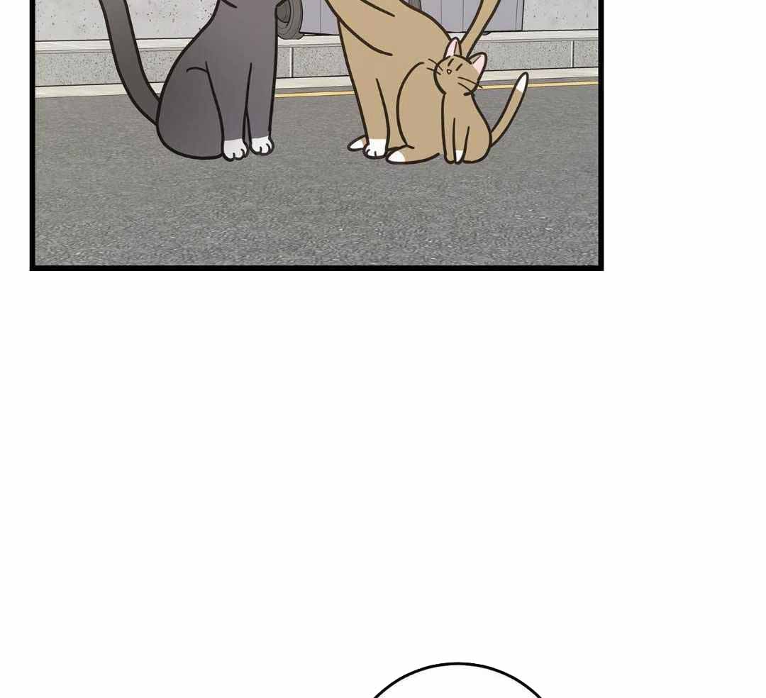 《我唯一的猫猫》漫画最新章节第33话免费下拉式在线观看章节第【39】张图片