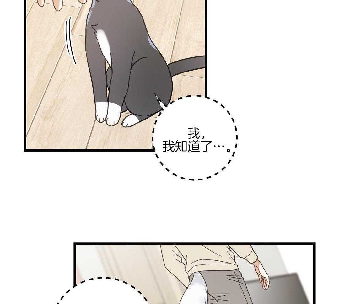 《我唯一的猫猫》漫画最新章节第44话免费下拉式在线观看章节第【6】张图片