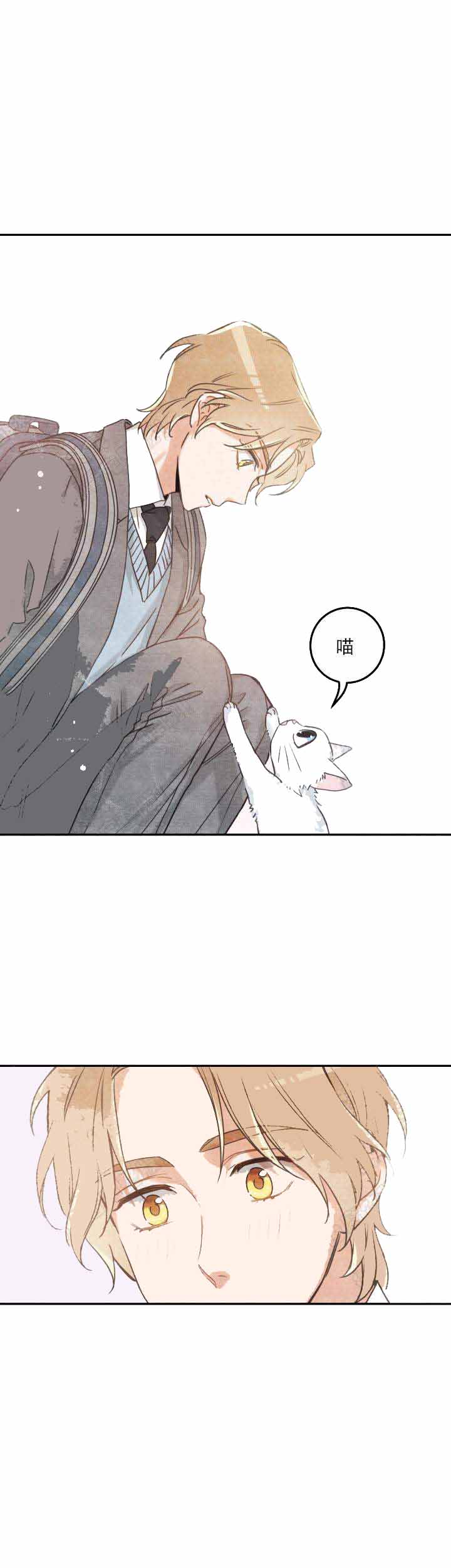 《我唯一的猫猫》漫画最新章节第19话免费下拉式在线观看章节第【12】张图片