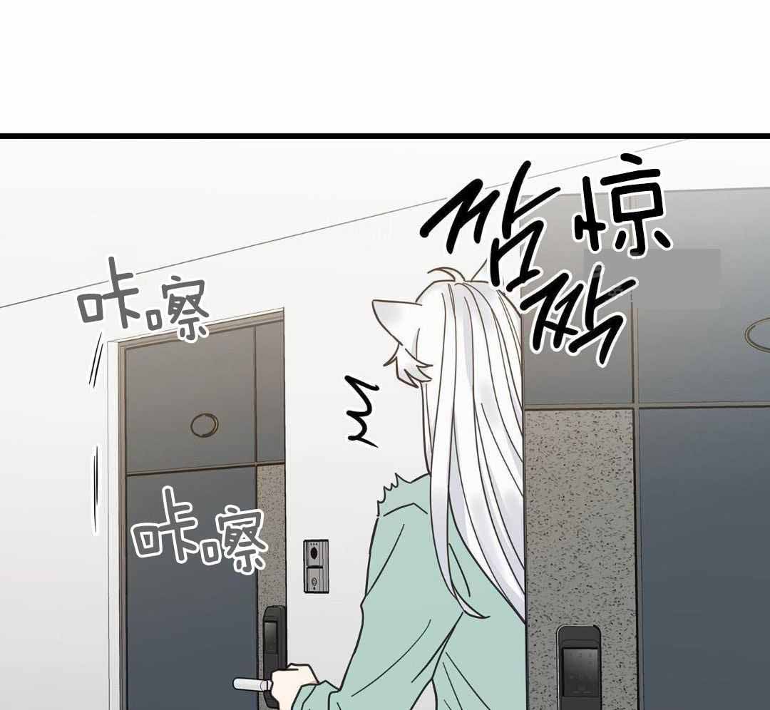 《我唯一的猫猫》漫画最新章节第46话免费下拉式在线观看章节第【22】张图片