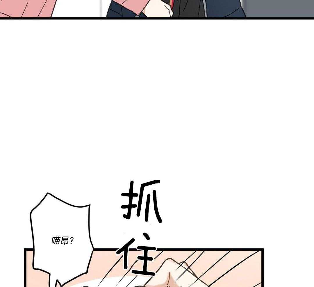 《我唯一的猫猫》漫画最新章节第39话免费下拉式在线观看章节第【15】张图片