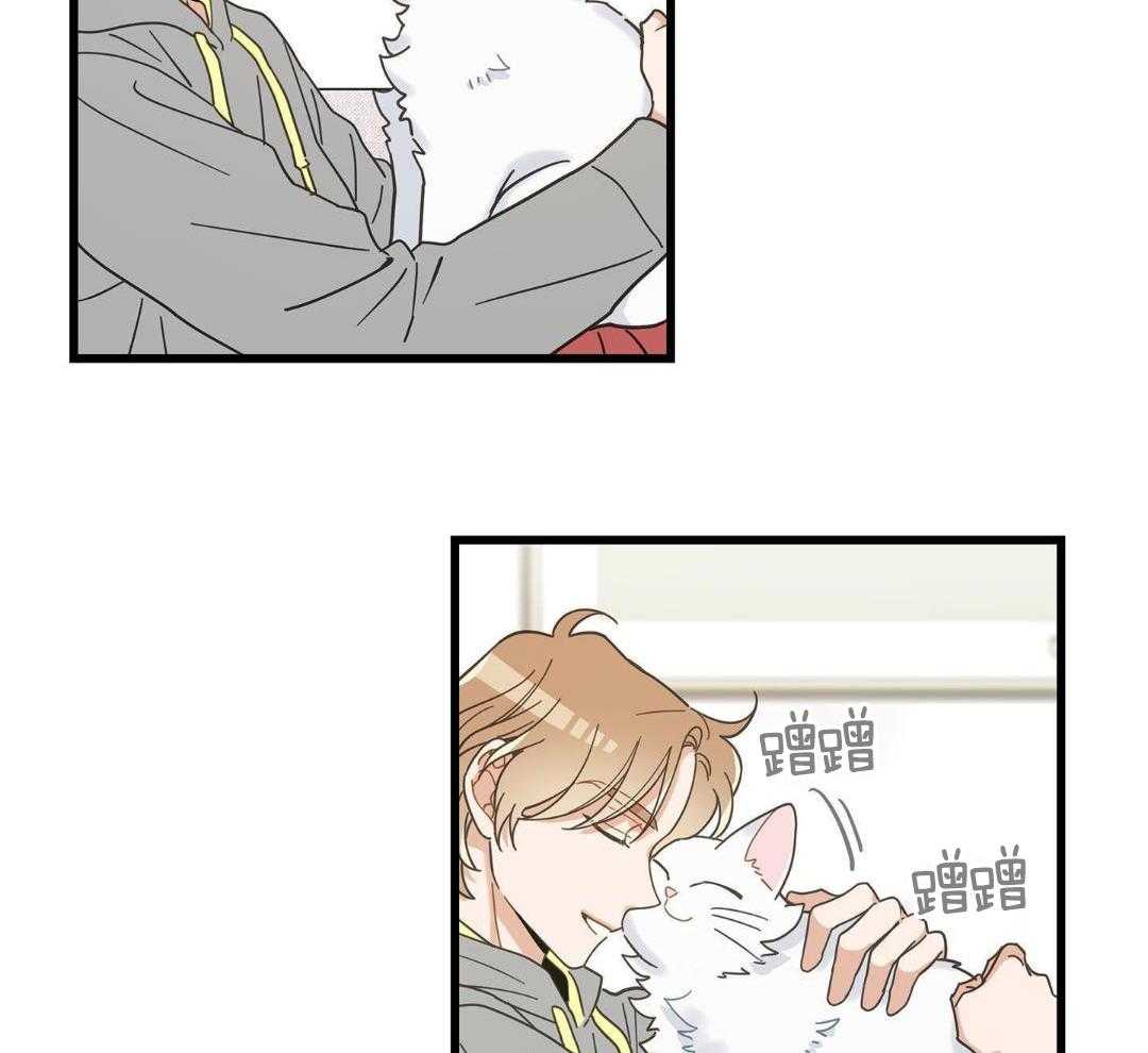 《我唯一的猫猫》漫画最新章节第43话免费下拉式在线观看章节第【8】张图片