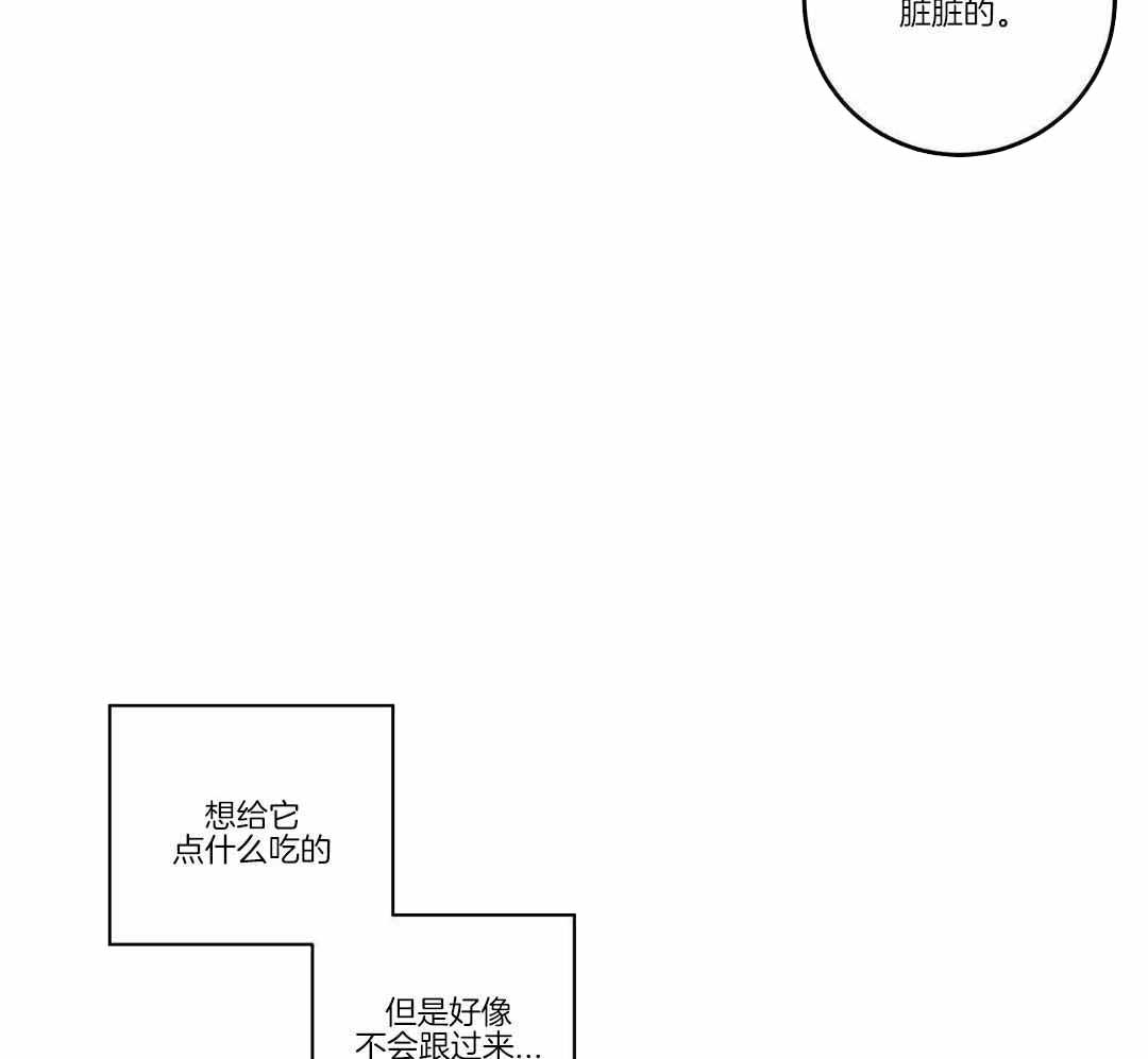 《我唯一的猫猫》漫画最新章节第32话免费下拉式在线观看章节第【34】张图片