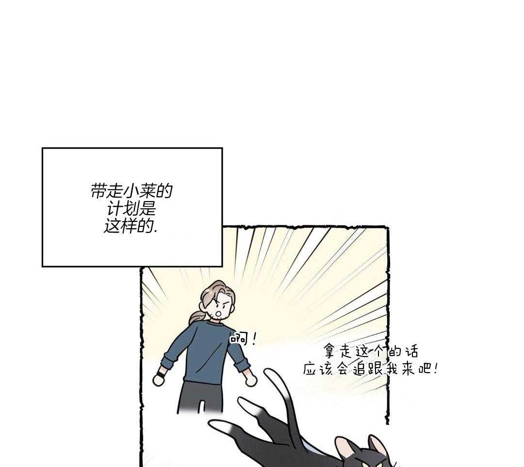 《我唯一的猫猫》漫画最新章节第56话免费下拉式在线观看章节第【32】张图片