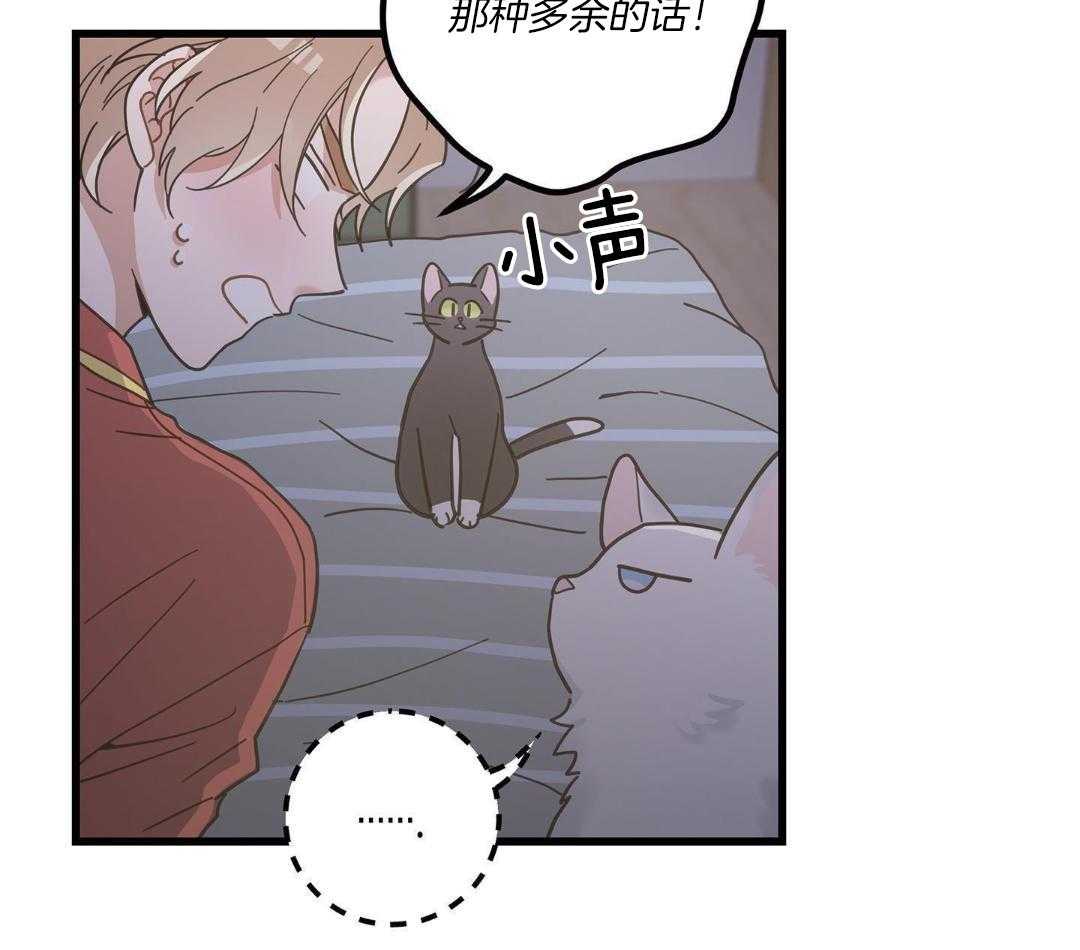 《我唯一的猫猫》漫画最新章节第41话免费下拉式在线观看章节第【36】张图片