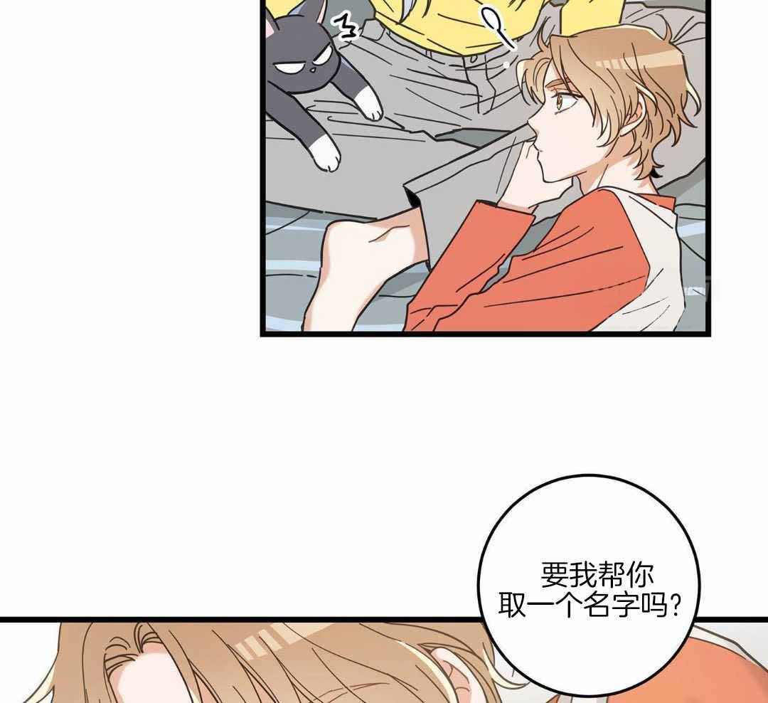 《我唯一的猫猫》漫画最新章节第45话免费下拉式在线观看章节第【29】张图片