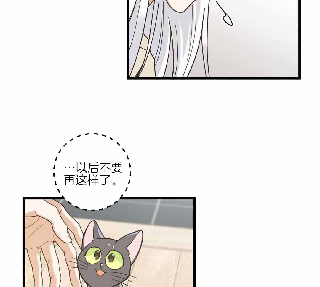 《我唯一的猫猫》漫画最新章节第44话免费下拉式在线观看章节第【5】张图片