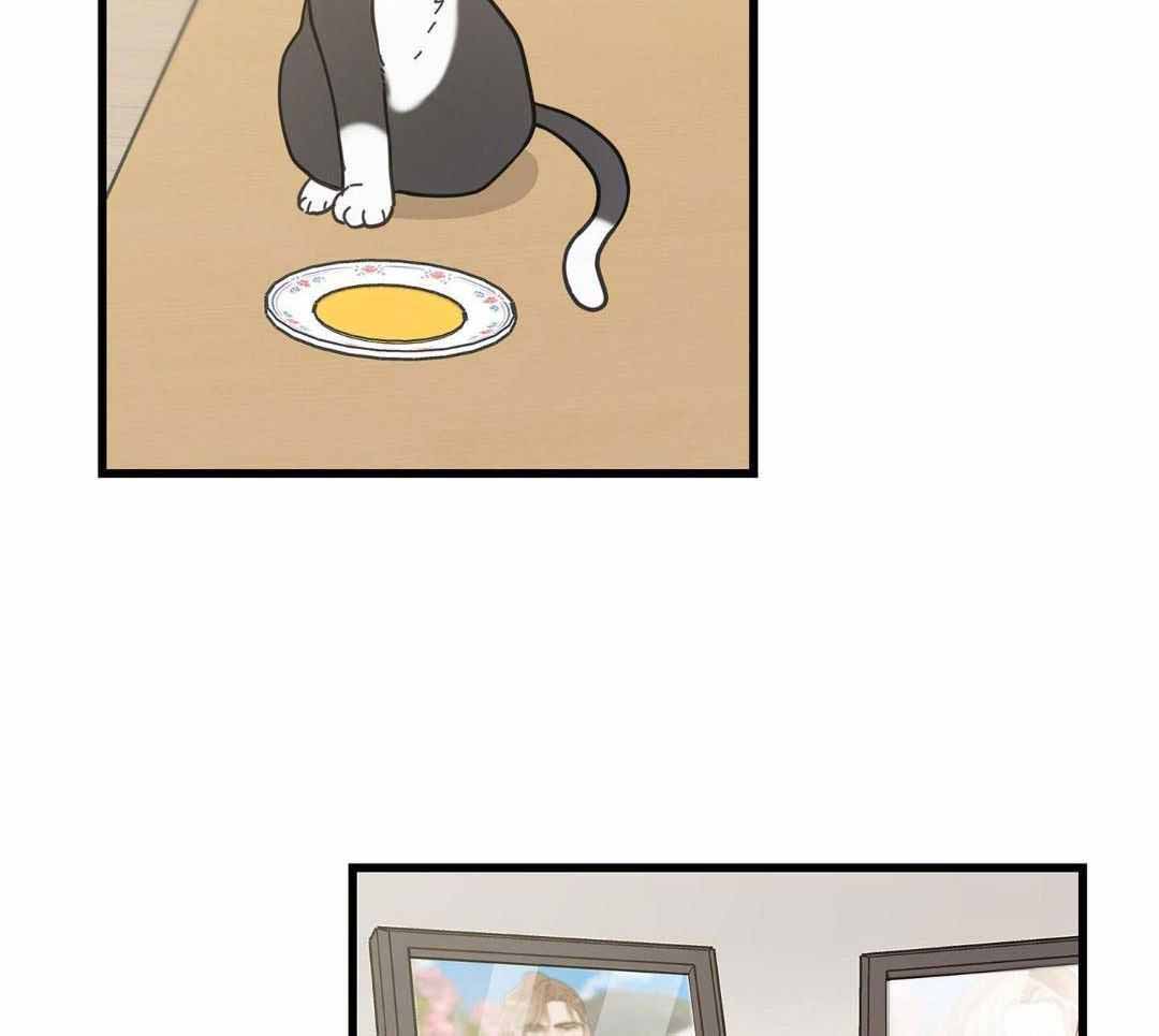 《我唯一的猫猫》漫画最新章节第58话免费下拉式在线观看章节第【22】张图片