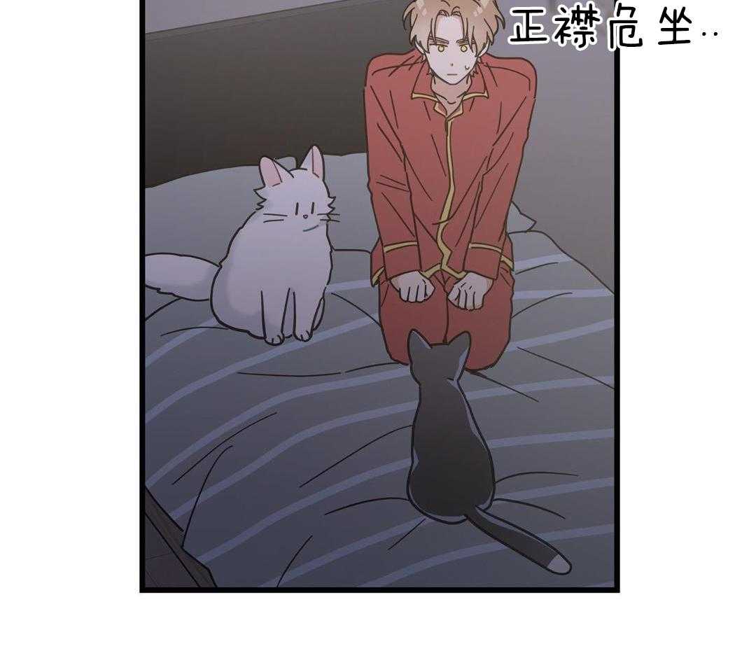 《我唯一的猫猫》漫画最新章节第41话免费下拉式在线观看章节第【33】张图片