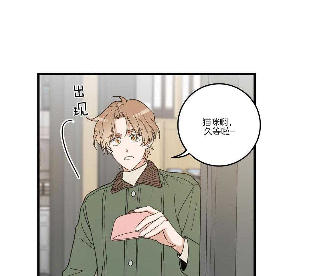 《我唯一的猫猫》漫画最新章节第33话免费下拉式在线观看章节第【7】张图片