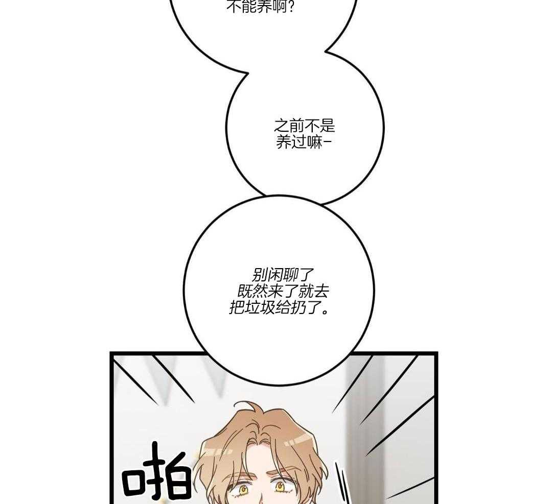 《我唯一的猫猫》漫画最新章节第37话免费下拉式在线观看章节第【31】张图片