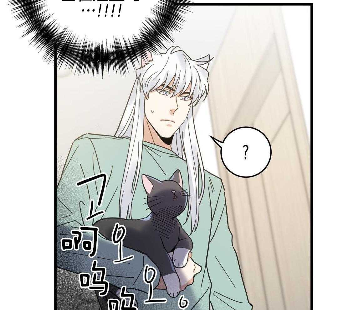 《我唯一的猫猫》漫画最新章节第46话免费下拉式在线观看章节第【12】张图片