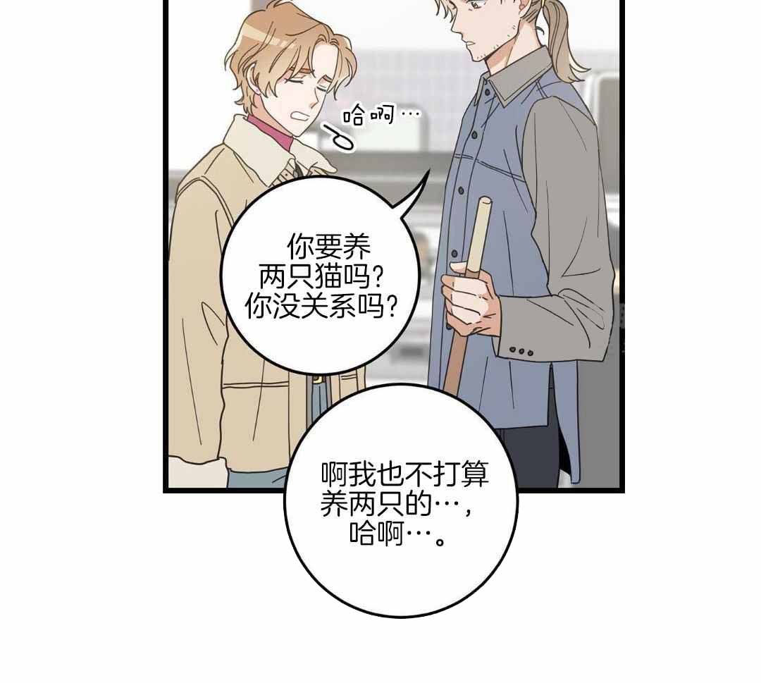 《我唯一的猫猫》漫画最新章节第44话免费下拉式在线观看章节第【15】张图片