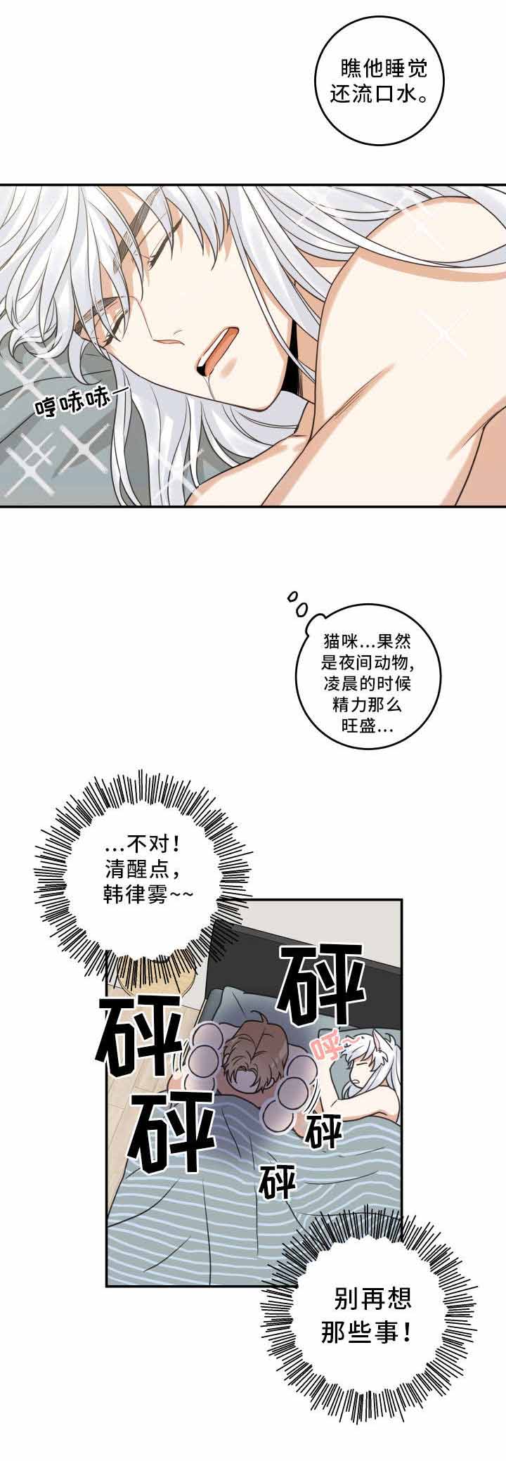 《我唯一的猫猫》漫画最新章节第23话免费下拉式在线观看章节第【15】张图片