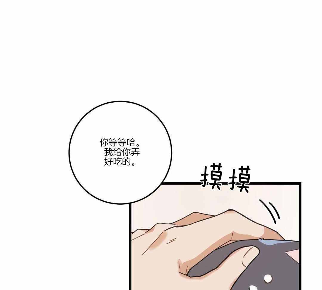 《我唯一的猫猫》漫画最新章节第35话免费下拉式在线观看章节第【13】张图片