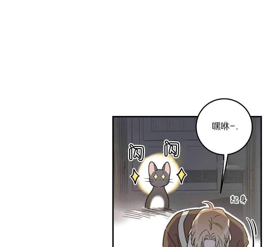 《我唯一的猫猫》漫画最新章节第49话免费下拉式在线观看章节第【3】张图片