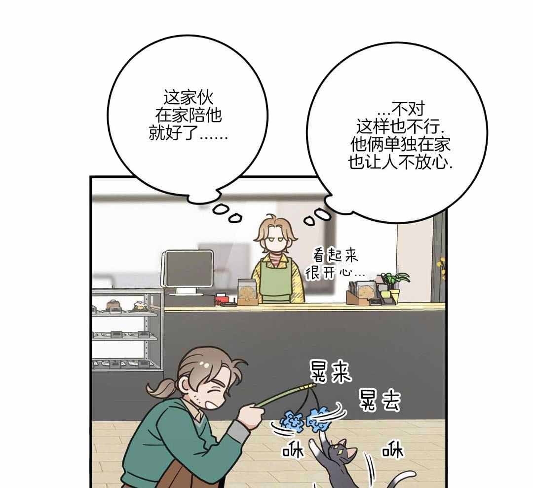 《我唯一的猫猫》漫画最新章节第49话免费下拉式在线观看章节第【46】张图片