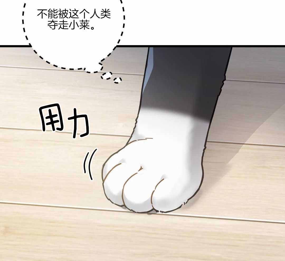 《我唯一的猫猫》漫画最新章节第43话免费下拉式在线观看章节第【15】张图片