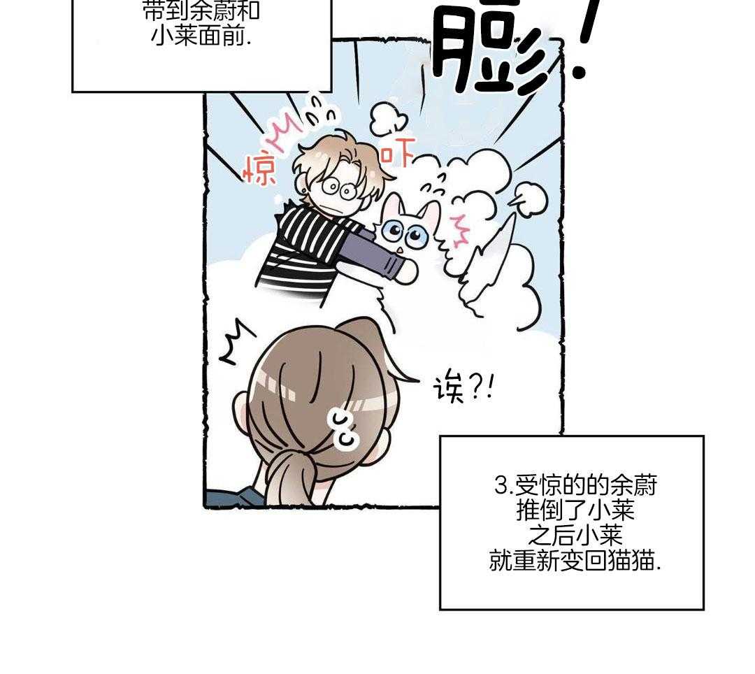 《我唯一的猫猫》漫画最新章节第56话免费下拉式在线观看章节第【34】张图片