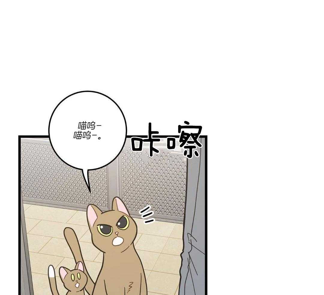 《我唯一的猫猫》漫画最新章节第34话免费下拉式在线观看章节第【8】张图片