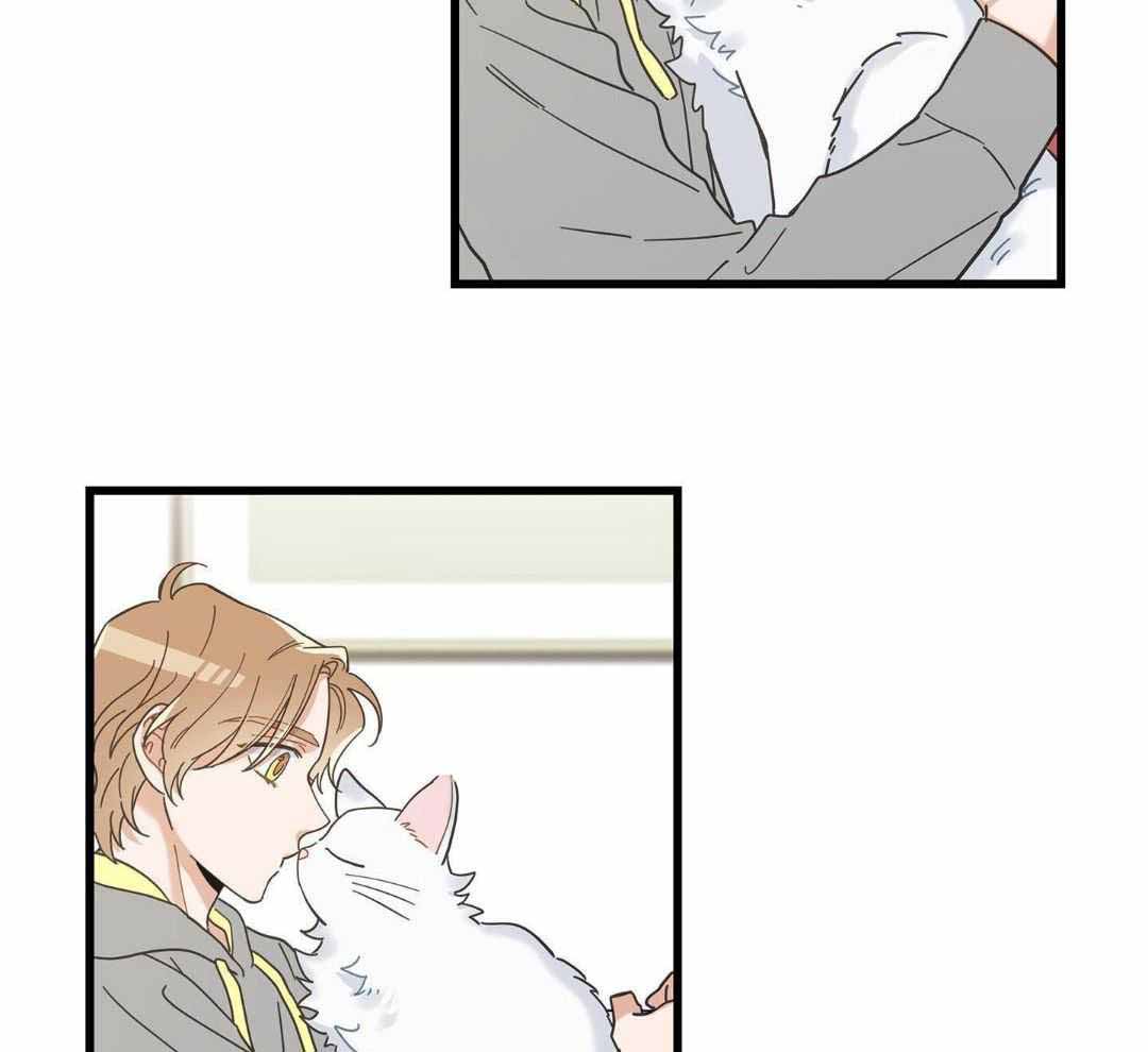 《我唯一的猫猫》漫画最新章节第43话免费下拉式在线观看章节第【9】张图片