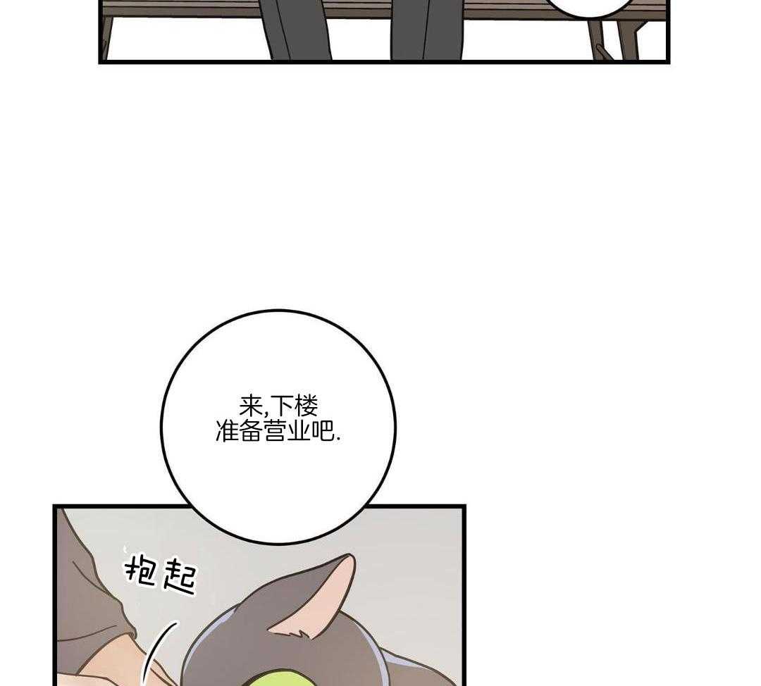 《我唯一的猫猫》漫画最新章节第53话免费下拉式在线观看章节第【45】张图片