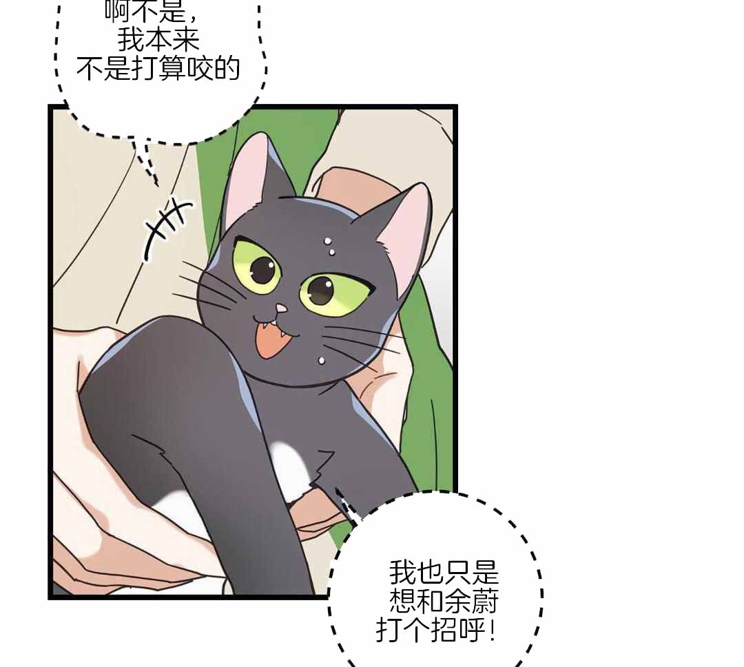 《我唯一的猫猫》漫画最新章节第44话免费下拉式在线观看章节第【3】张图片