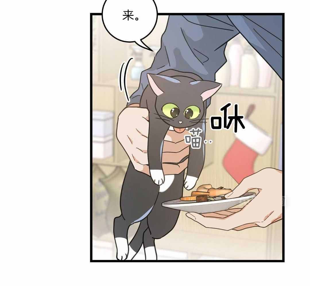 《我唯一的猫猫》漫画最新章节第47话免费下拉式在线观看章节第【14】张图片