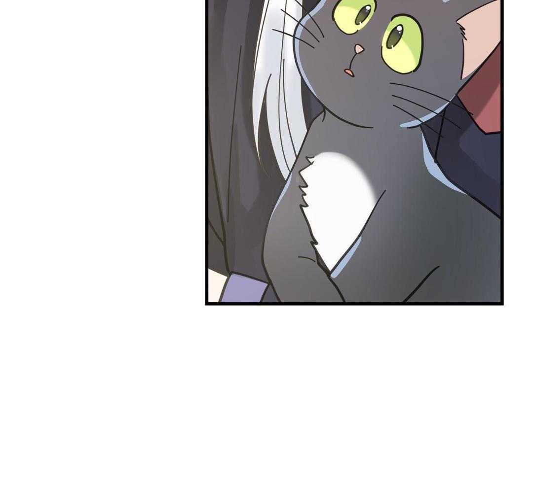 《我唯一的猫猫》漫画最新章节第57话免费下拉式在线观看章节第【9】张图片