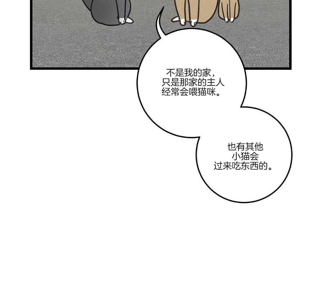 《我唯一的猫猫》漫画最新章节第33话免费下拉式在线观看章节第【34】张图片