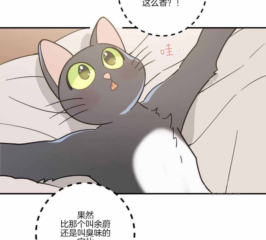 《我唯一的猫猫》漫画最新章节第47话免费下拉式在线观看章节第【57】张图片