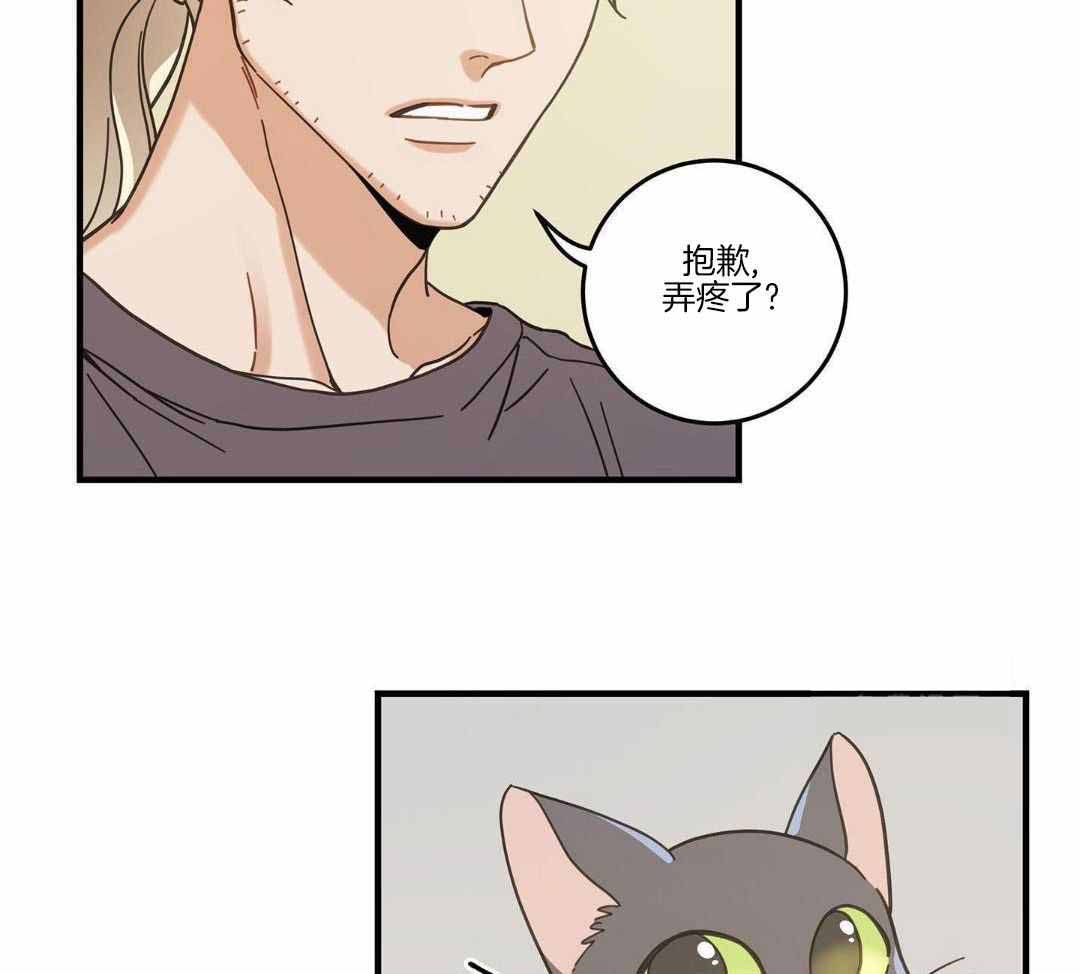 《我唯一的猫猫》漫画最新章节第53话免费下拉式在线观看章节第【36】张图片