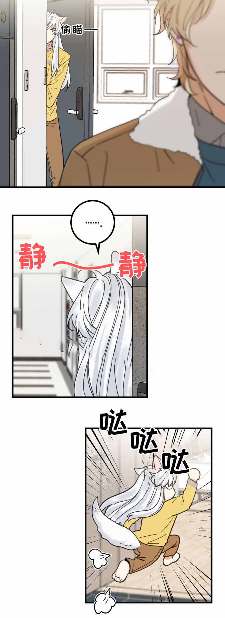 《我唯一的猫猫》漫画最新章节第27话免费下拉式在线观看章节第【2】张图片