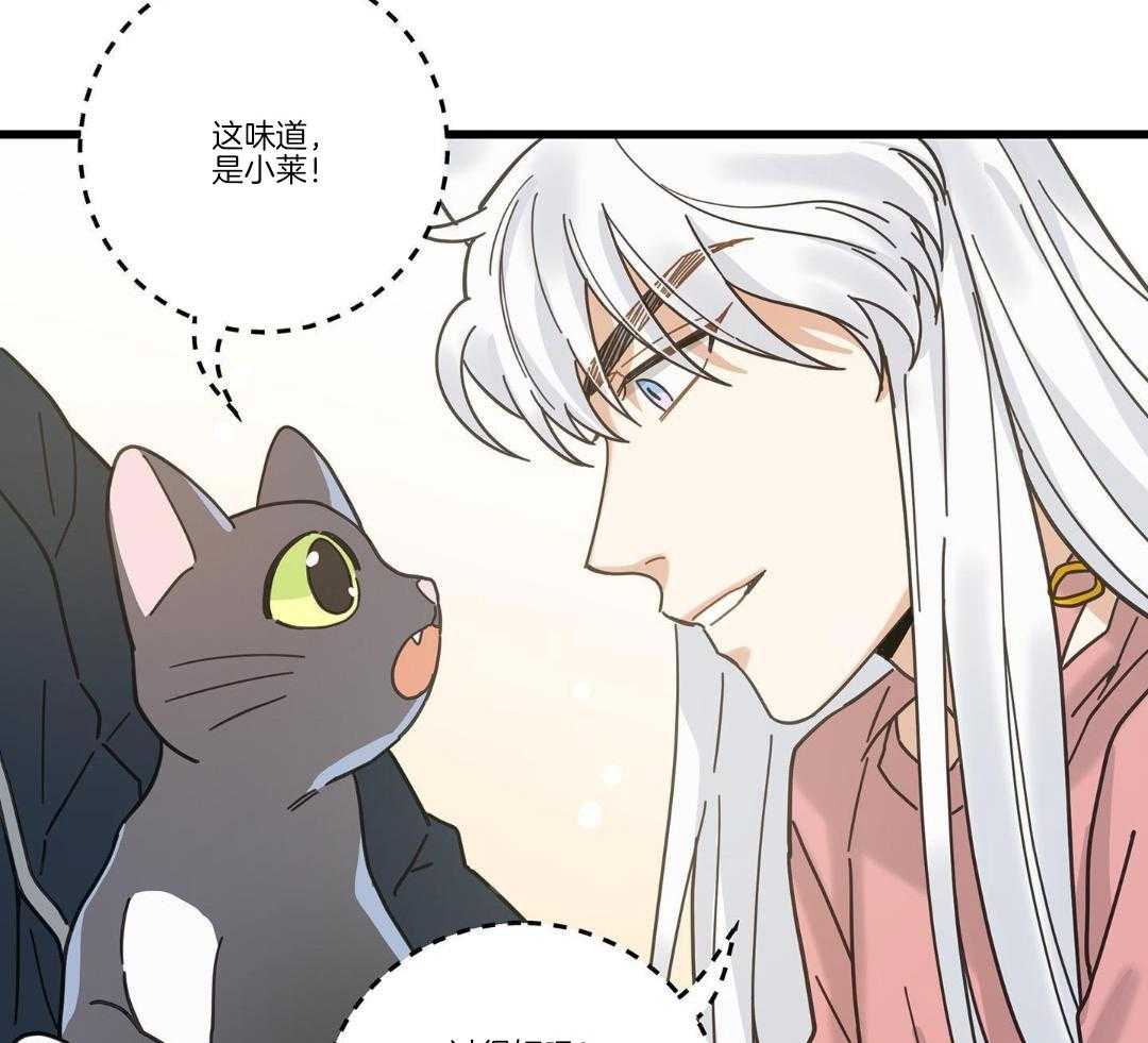 《我唯一的猫猫》漫画最新章节第39话免费下拉式在线观看章节第【35】张图片