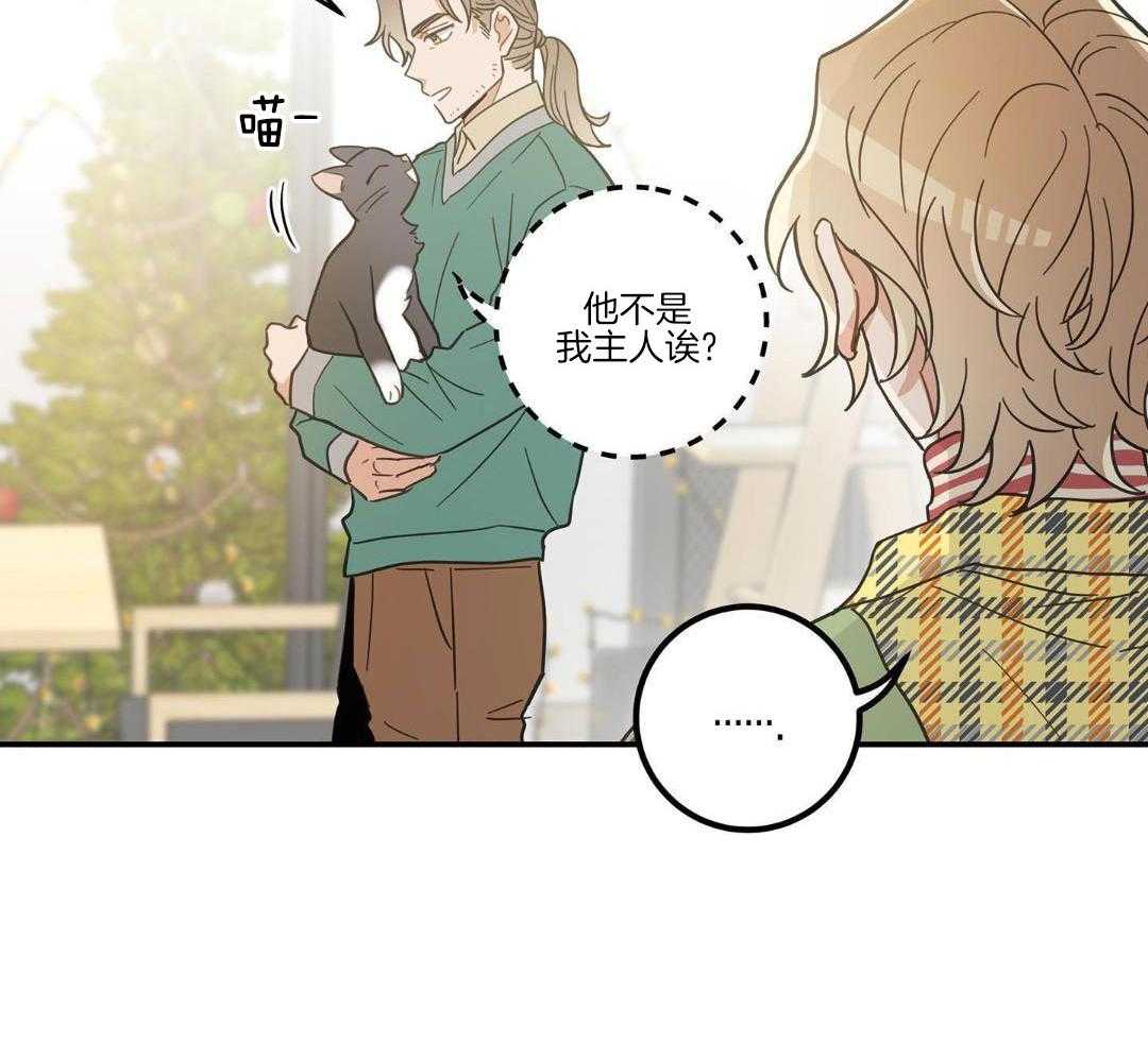 《我唯一的猫猫》漫画最新章节第50话免费下拉式在线观看章节第【21】张图片