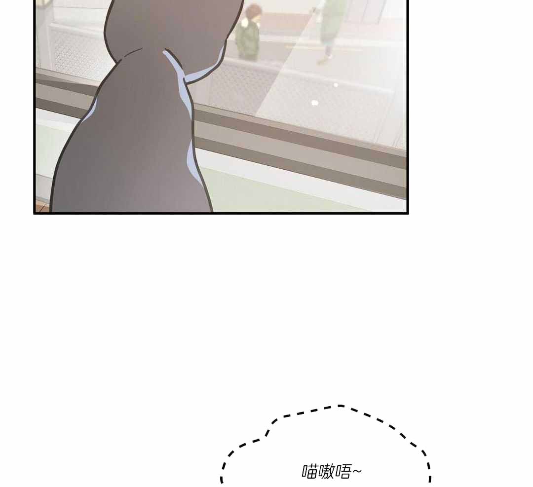 《我唯一的猫猫》漫画最新章节第47话免费下拉式在线观看章节第【48】张图片