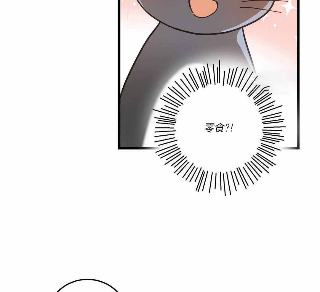 《我唯一的猫猫》漫画最新章节第57话免费下拉式在线观看章节第【31】张图片