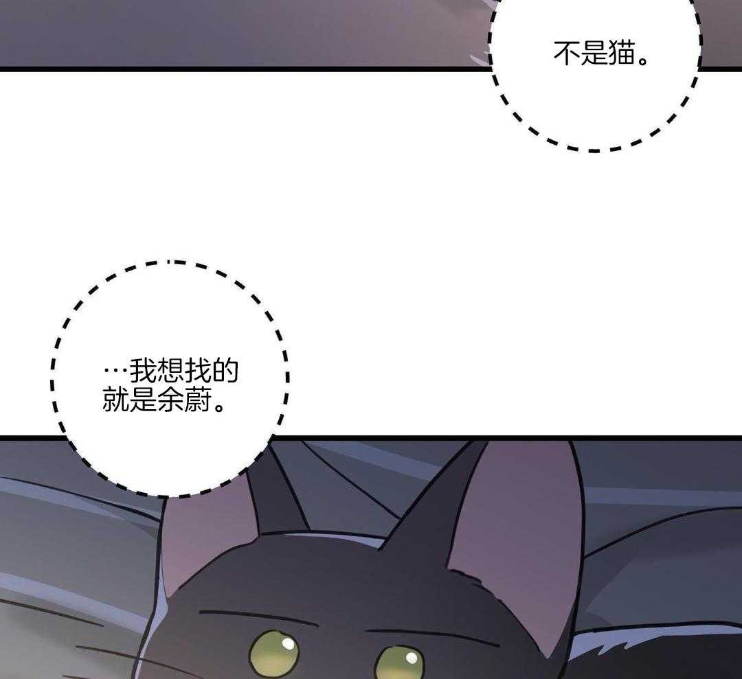 《我唯一的猫猫》漫画最新章节第42话免费下拉式在线观看章节第【16】张图片